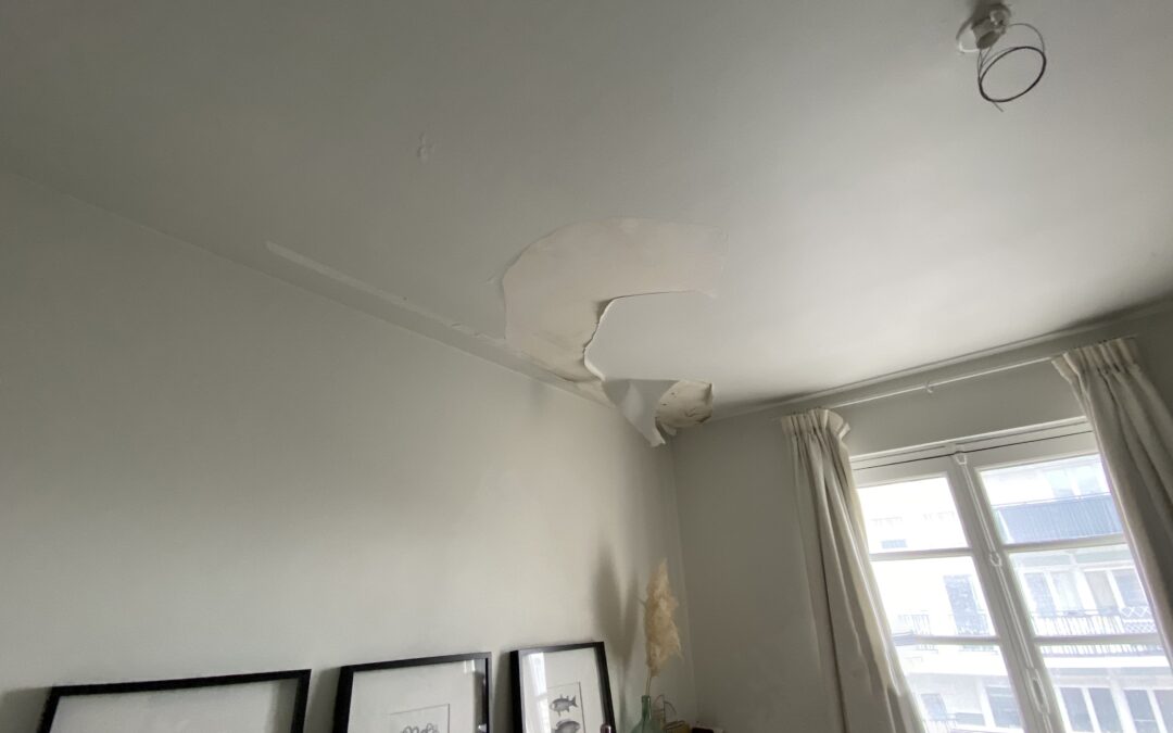 Les différentes phases des travaux de rénovation intérieure d&rsquo;un immeuble : exemple