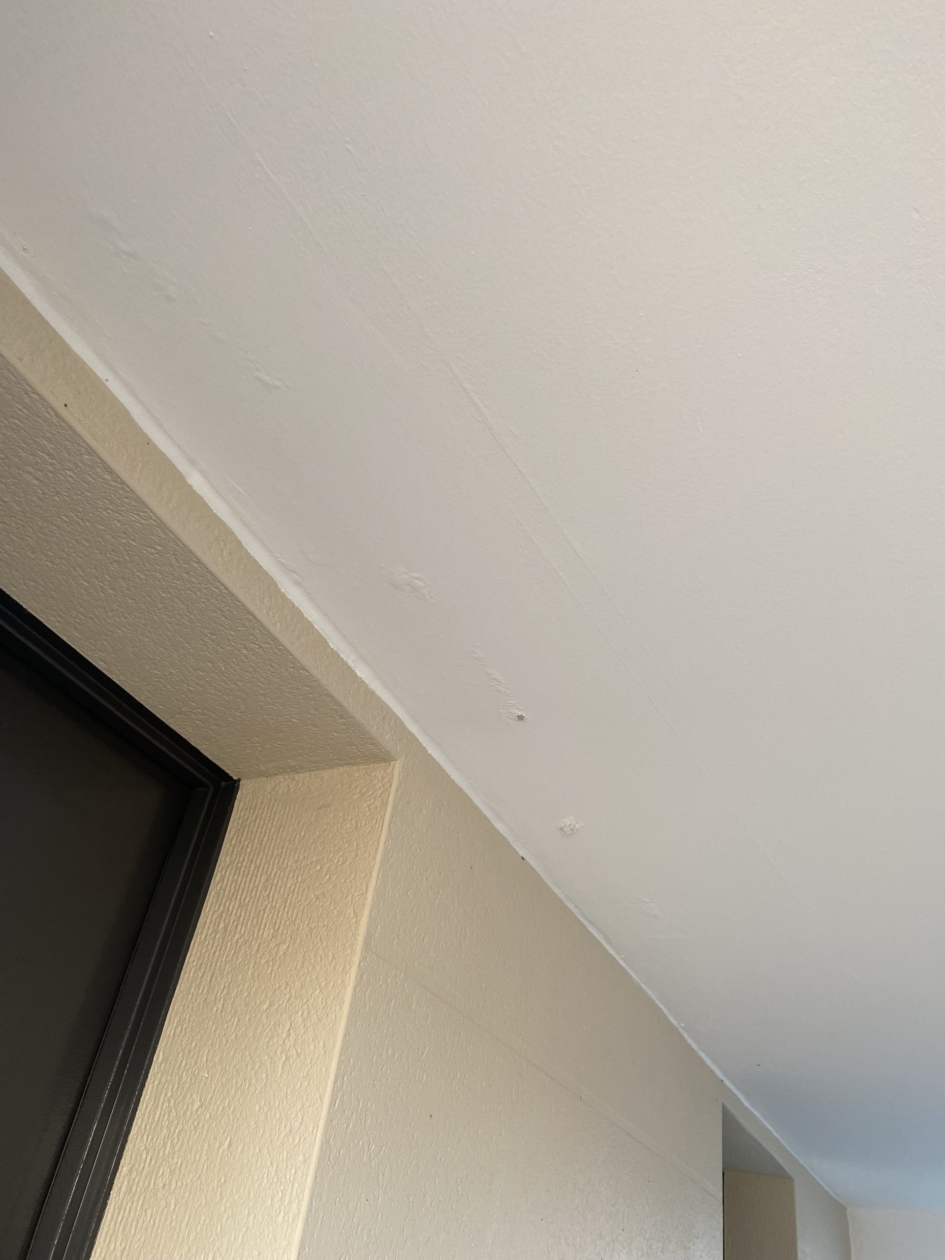 apparition champignon dans dalle béton